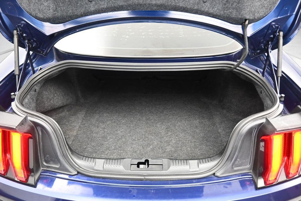2019 Ford Mustang EcoBoost Premium, photo 38 of 47