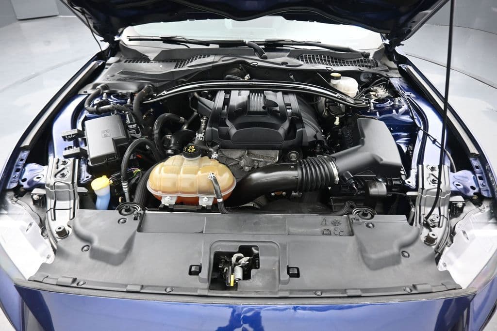 2019 Ford Mustang EcoBoost Premium, photo 40 of 47