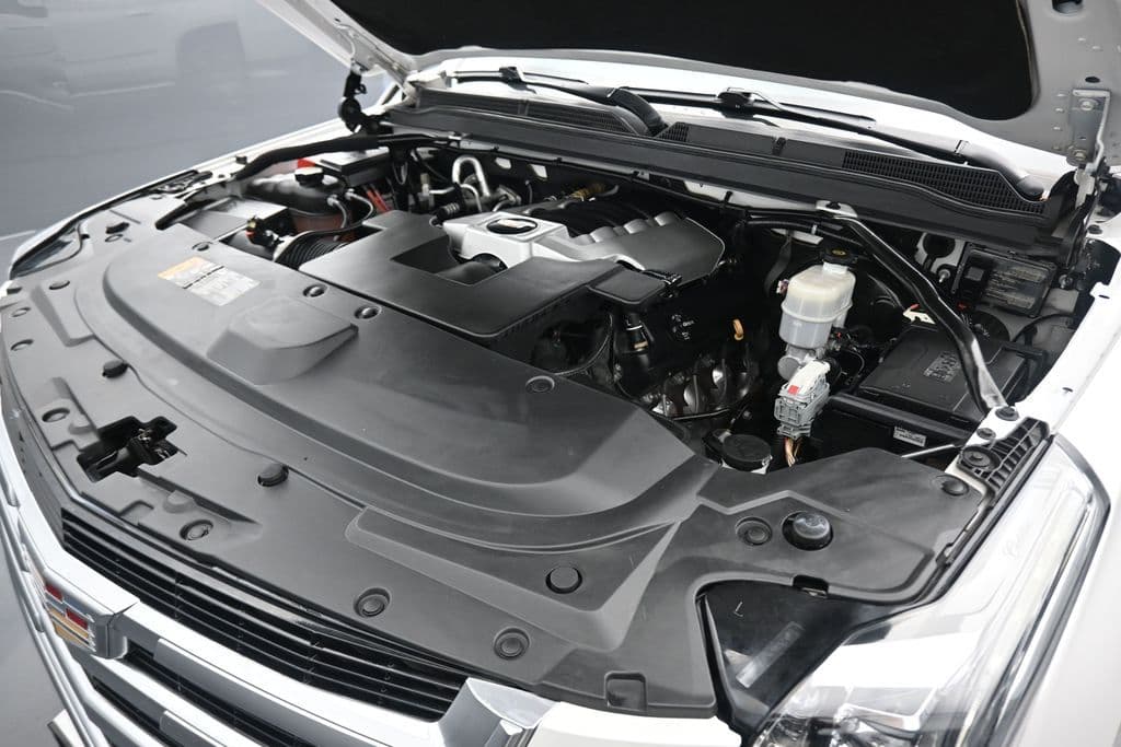 2019 Cadillac Escalade ESV Luxury, photo 63 of 73