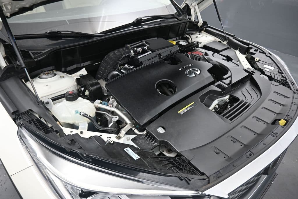 2019 INFINITI QX50 LUXE, photo 48 of 60