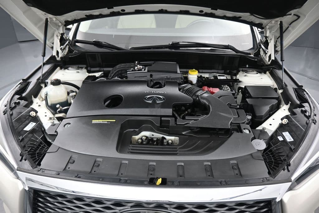 2019 INFINITI QX50 LUXE, photo 49 of 60