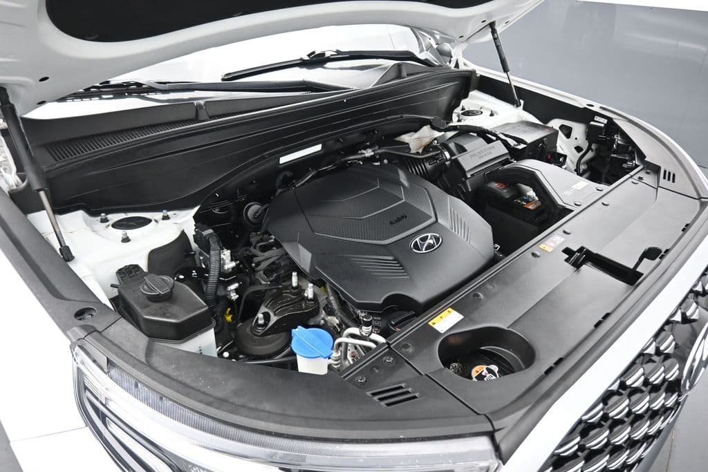 2021 Hyundai Palisade Calligraphy, photo 69 of 81