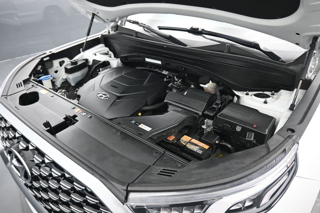 2021 Hyundai Palisade Calligraphy, photo 71 of 81