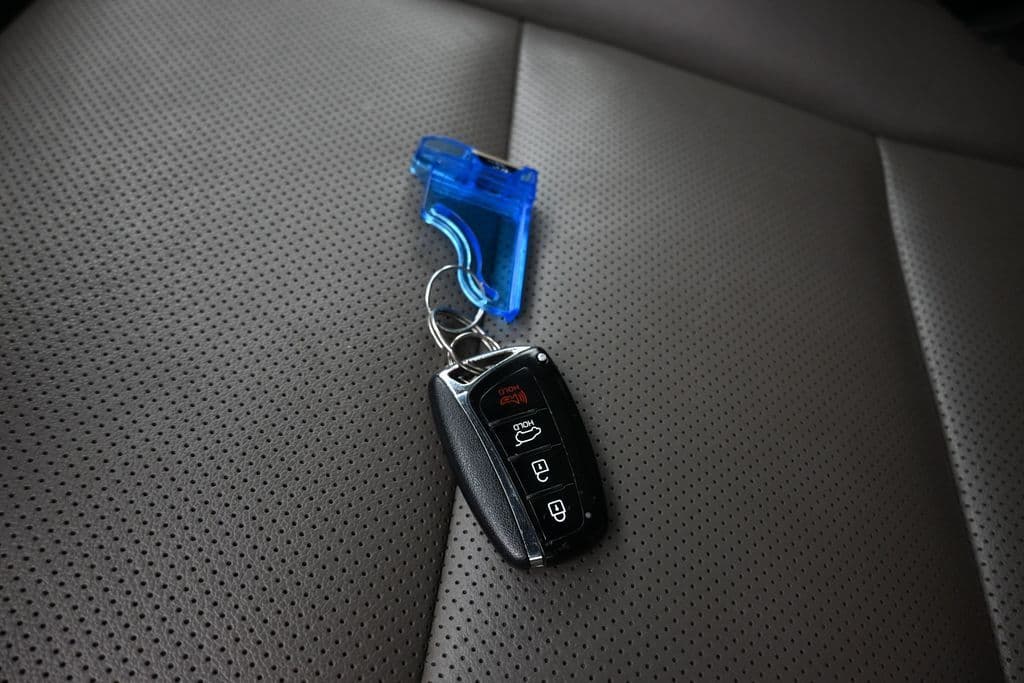 2018 Hyundai Santa Fe SE Ultimate, photo 74 of 82